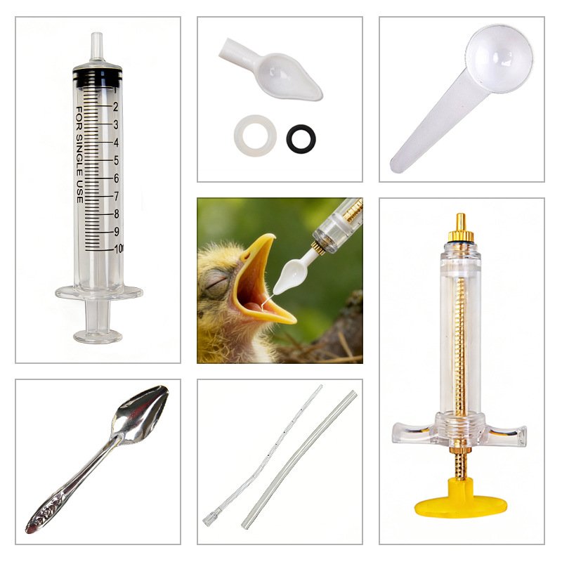 Baby Food Youtube - Kit de nourrissage précis pour oiseaux,