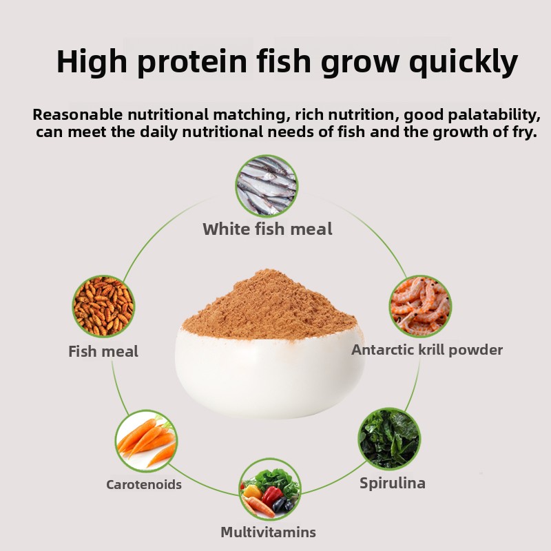 Poudre PENISON pour nourrir le - Baby Food Diet avis et prix